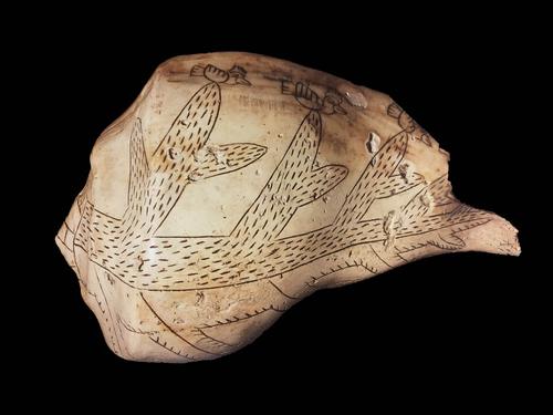 Engraved shell cup