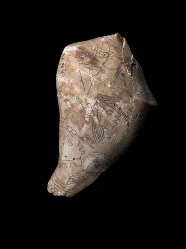Engraved shell cup