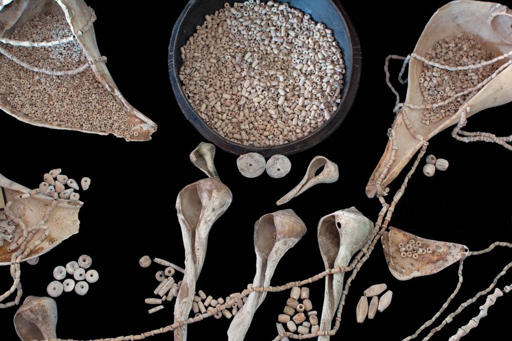 Assorted shell and other artifacts