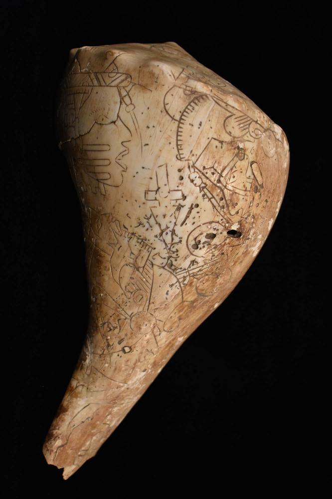 Engraved shell cup