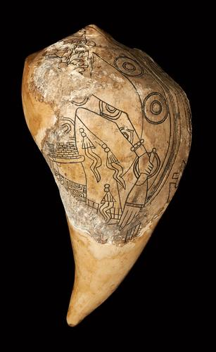Engraved shell cup