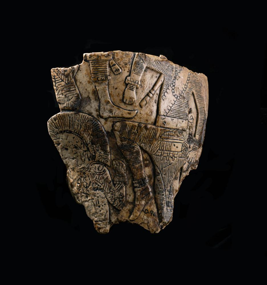 Engraved shell cup in relief