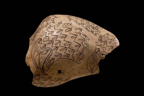 Engraved shell cup depicting eagle heads
