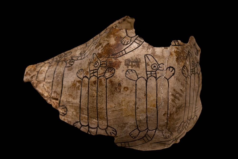Engraved shell cup depicting armadillos