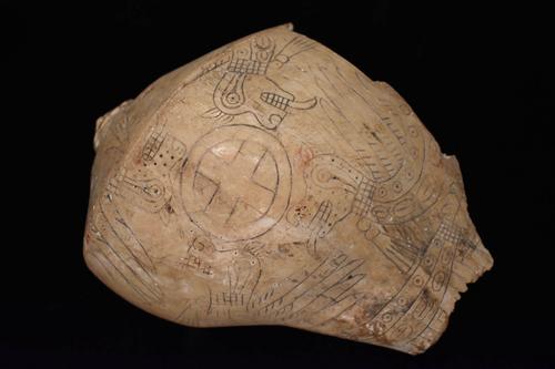 Engraved shell with four winged serpents surrounding a cross-in-circle motif