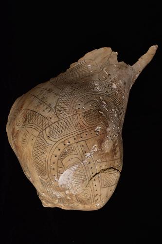 Engraved shell cup