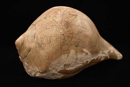 Engraved shell cup