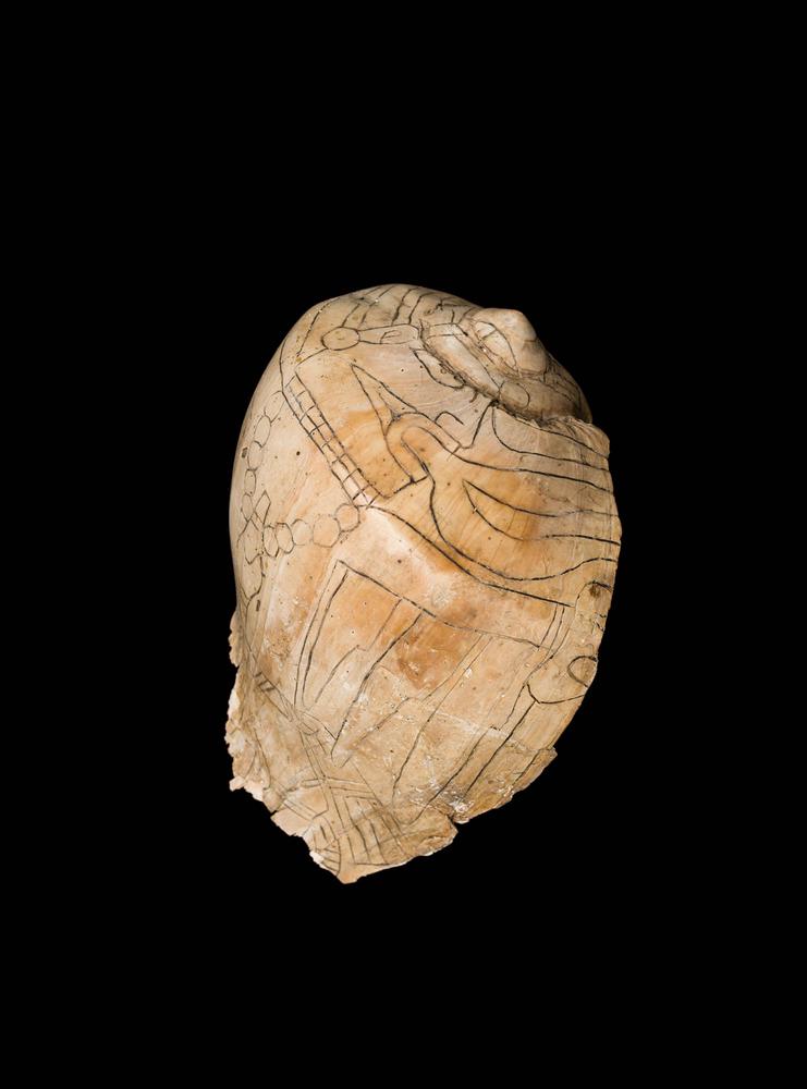 Engraved shell cup