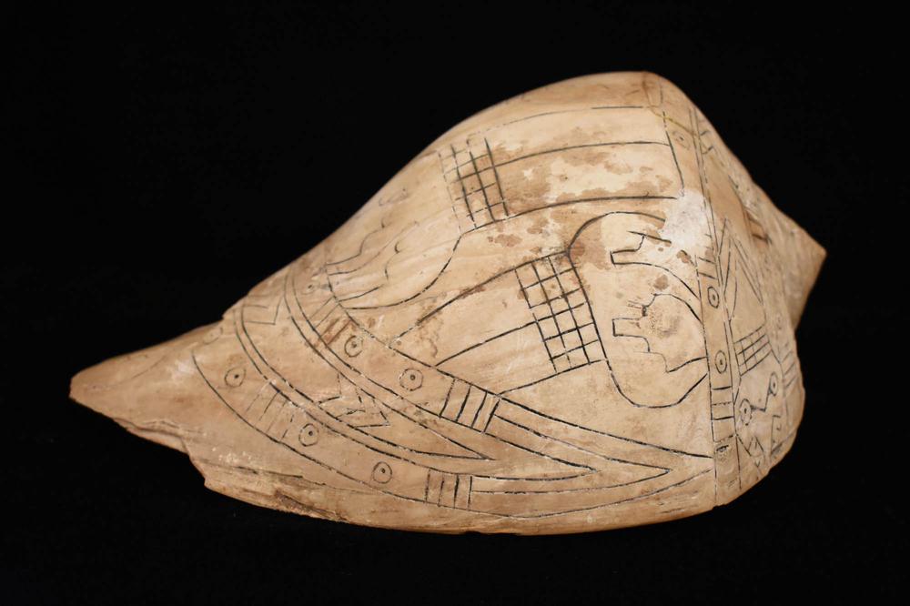 Engraved shell cup
