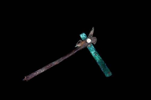 Woodpecker effigy axe