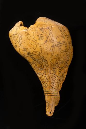 Engraved shell cup with human face on the shell of turtles