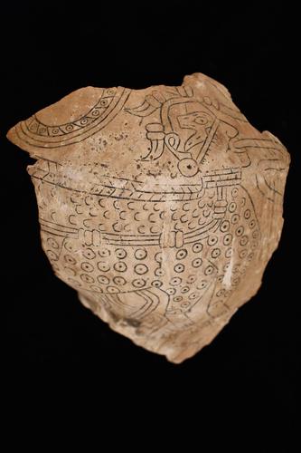 Fragment of engraved shell cup with image of Underwater Panther